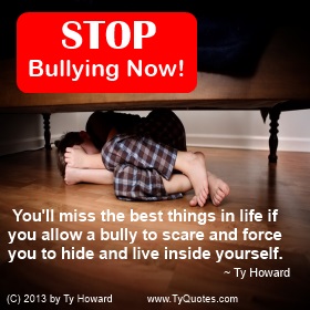 cyber bullying quotes from professionals